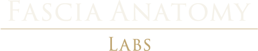 Fascia Anatomy Labs