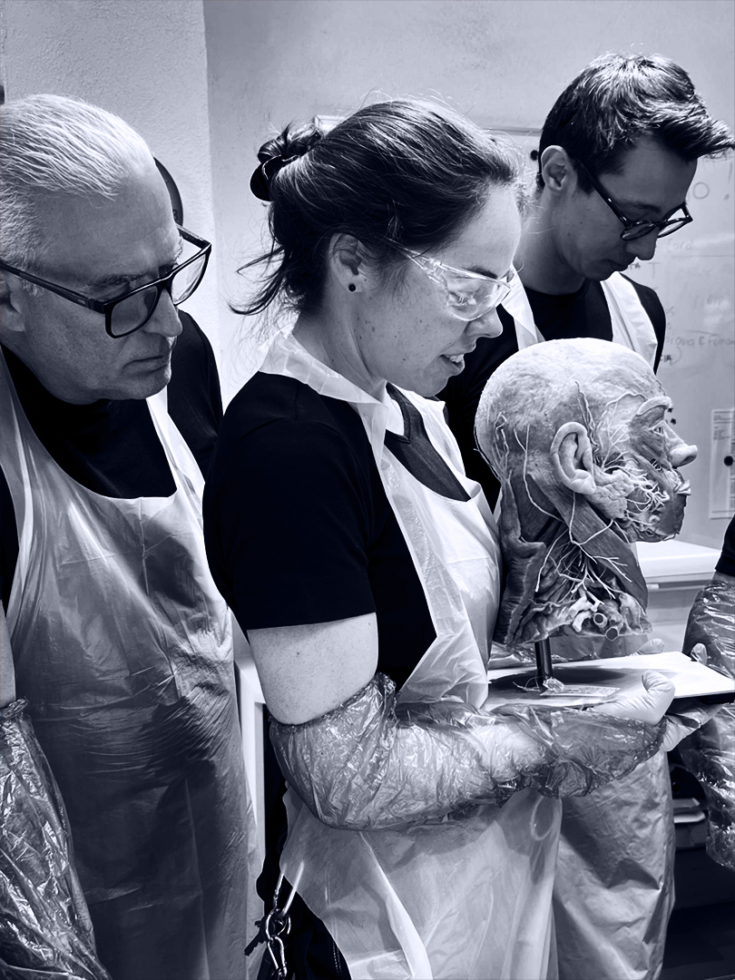 Fascial anatomy