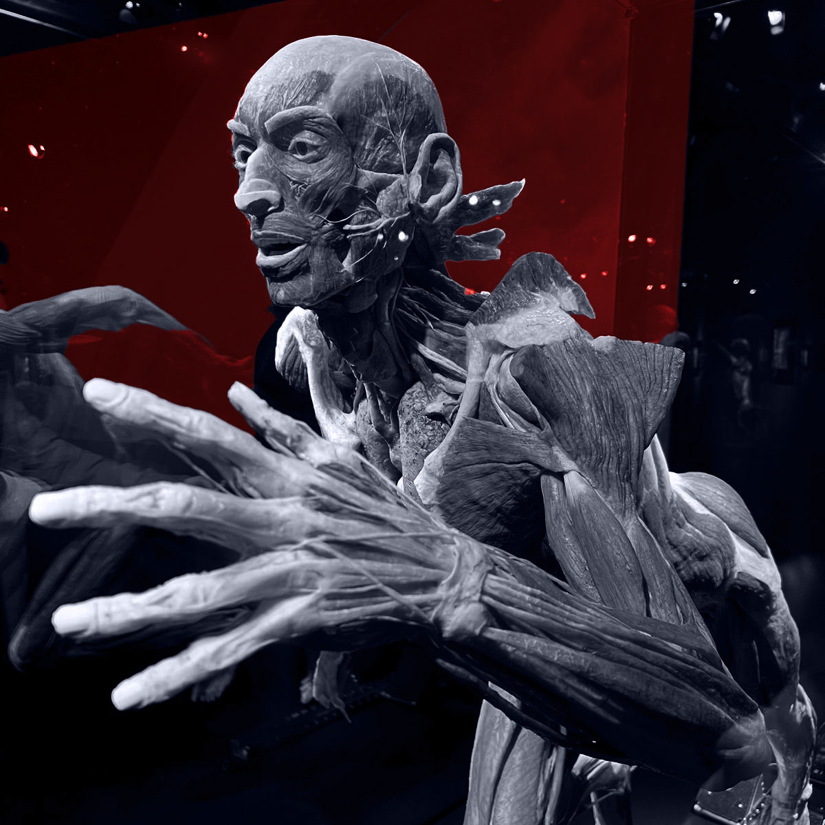Plastinarium centre image