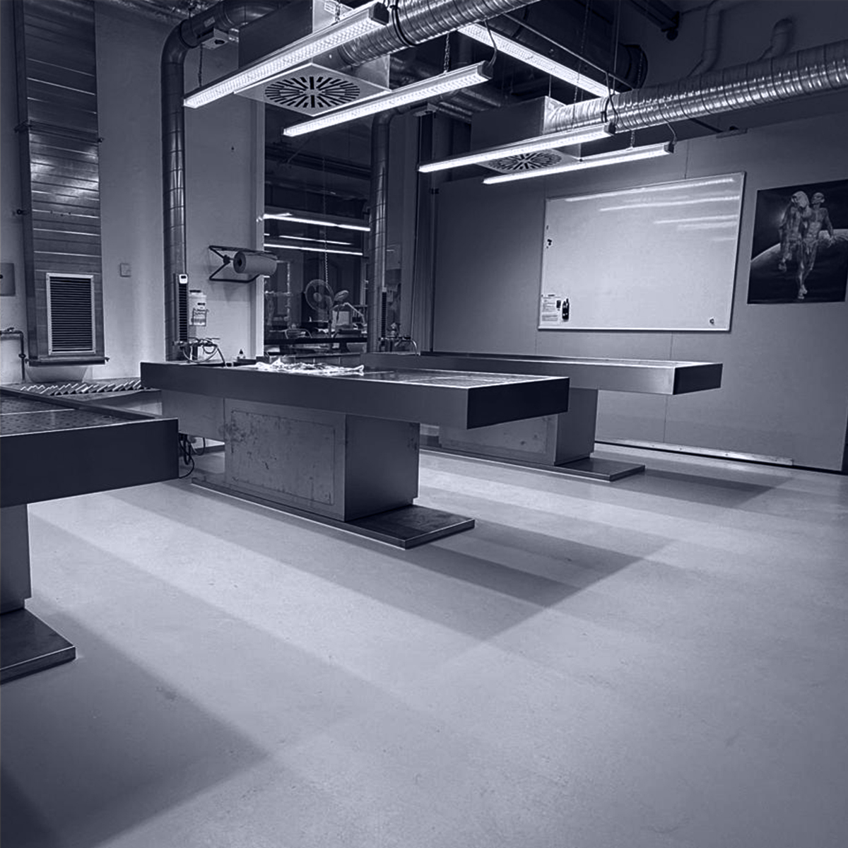 Image of the lab at the Plastinarium